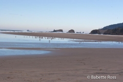 Cannon Beach
