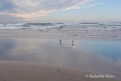 Cannon Beach