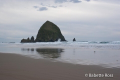 Cannon Beach