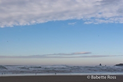 Cannon Beach