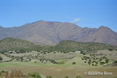 Casares