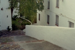 Casares