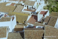 Casares