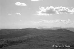 Casares