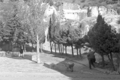 Casares