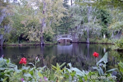 Magnolia Swamp Garden