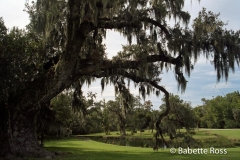 Drayton Hall