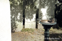 Water Fountain