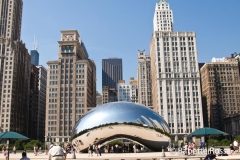 The Bean