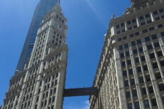 The Wrigley Building