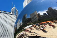 The Bean