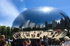 The Bean