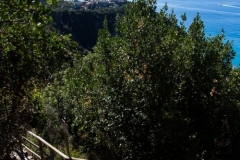 Between Vernazza & Corniglia 2015-09-07