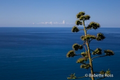 Between Vernazza & Corniglia 2015-09-07