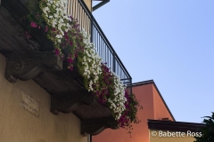Riomaggiore 2015-09-07