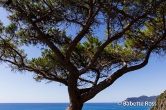 Riomaggiore 2015-09-07
