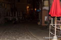 Vernazza  2015-09-07