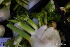Vernazza Fennel 2015-09-08