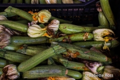 Vernazza Squash 2015-09-08