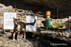 Between Vernazza & Monterosso 2015-09-08