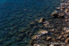 Monterosso 2015-09-08