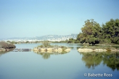 Ile St Margaurite 1997-09-17