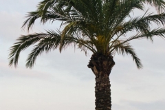 Nice 2009-07-13