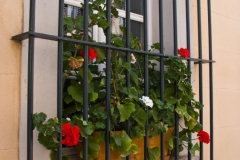 St Tropez 2009-07-14