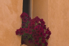 St Tropez 2009-07-14
