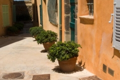 St Tropez 2009-07-14