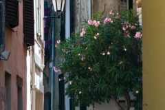 St Tropez 2009-07-14