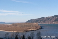 Columbia Gorge Overlook