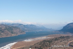 Columbia Gorge Overlook