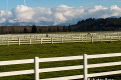 Woodinville