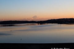 Driving Back to Seattle