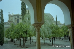 Mezquita