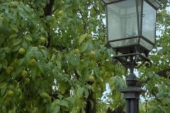 Mezquita Streetlight