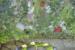 Fountain