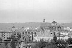 View from Torre Callahora