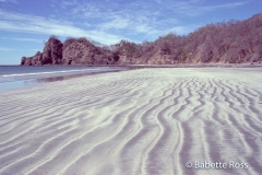 Playa Carrillio