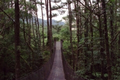 Arenal Volcano National Park