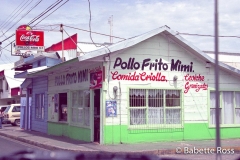 Pollo Frito Mimi