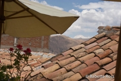 View from Casa San Blas