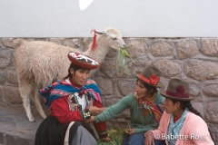 Women in Traditional Dress with a Llama on Calle Hatun Rumiyoc