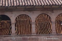 Hotel Monasterio