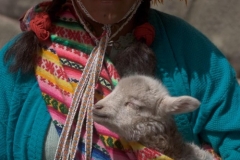 Woman in Traditional Dress with Llama