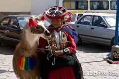 Woman in Traditional Dress with Llama