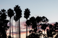 Sunset from Ohana Fest