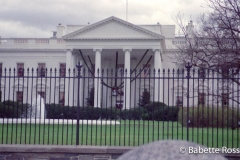 The White House