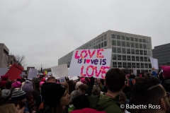 2017 Women's March in DC